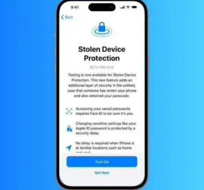 祁阳苹果授权维修店分享被盗设备保护功能开启方法 