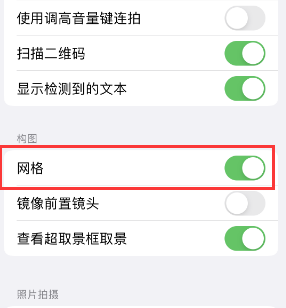 祁阳苹果手机维修网点分享iPhone如何开启九宫格构图功能 