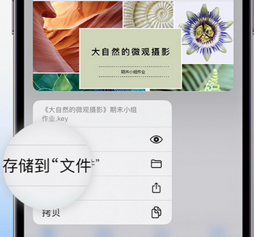 祁阳apple维修中心分享iPhone文件应用中存储和找到下载文件