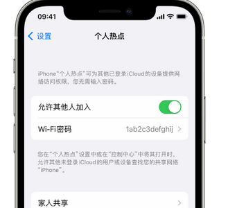 祁阳apple服务站点分享iPhone上个人热点丢失了怎么办