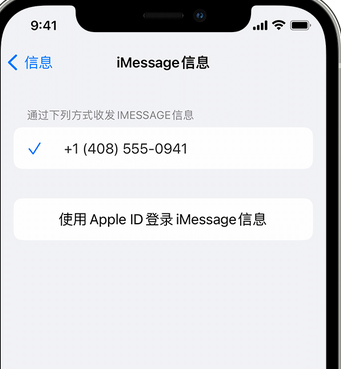 祁阳apple维修iPhone上无法正常发送iMessage信息 