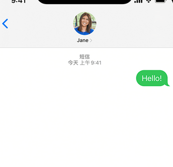 祁阳apple维修iPhone上无法正常发送iMessage信息