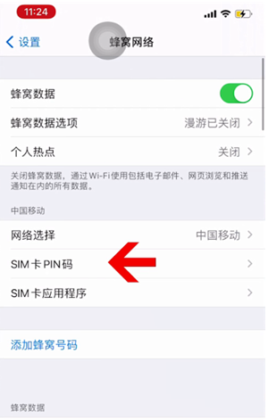 祁阳苹果14维修网分享如何给iPhone14的SIM卡设置密码 