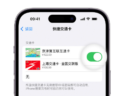 祁阳apple维修点分享iPhone上更换Apple Pay快捷交通卡手绘卡面 