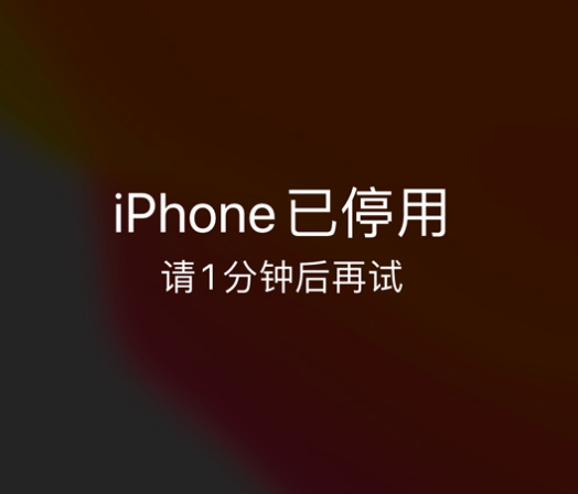 祁阳苹果手机维修分享:iPhone 显示“不可用”或“已停用”怎么办？还能保留数据吗？ 