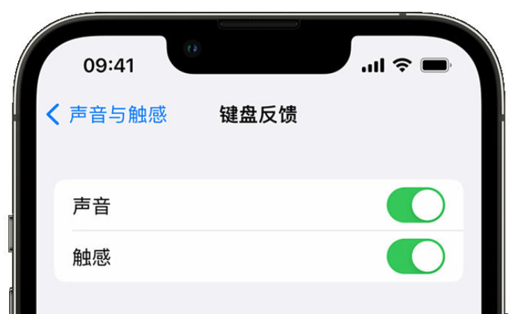 祁阳苹果手机维修分享iPhone 14触感键盘使用方法 