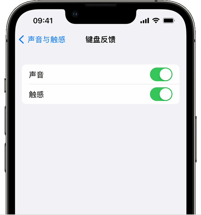 祁阳苹果14维修店分享如何在 iPhone 14 机型中使用触感键盘 