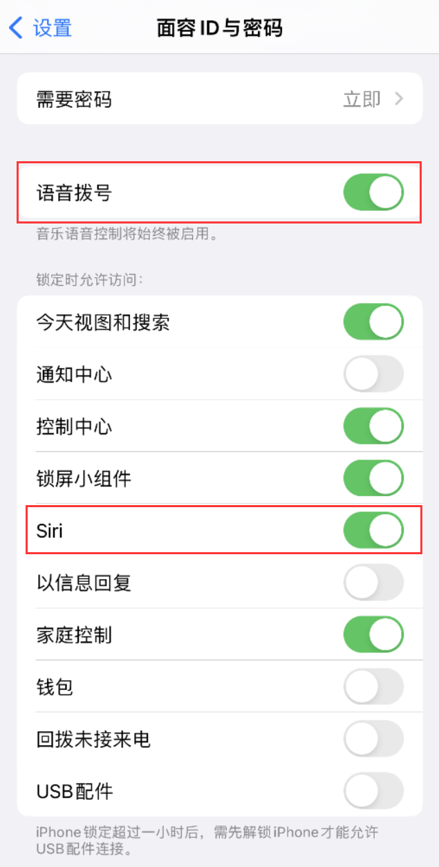 祁阳苹果维修网点分享不解锁 iPhone 的情况下通过 Siri 拨打电话的方法 