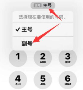 祁阳苹果14维修店分享iPhone 14 Pro Max使用副卡打电话的方法 