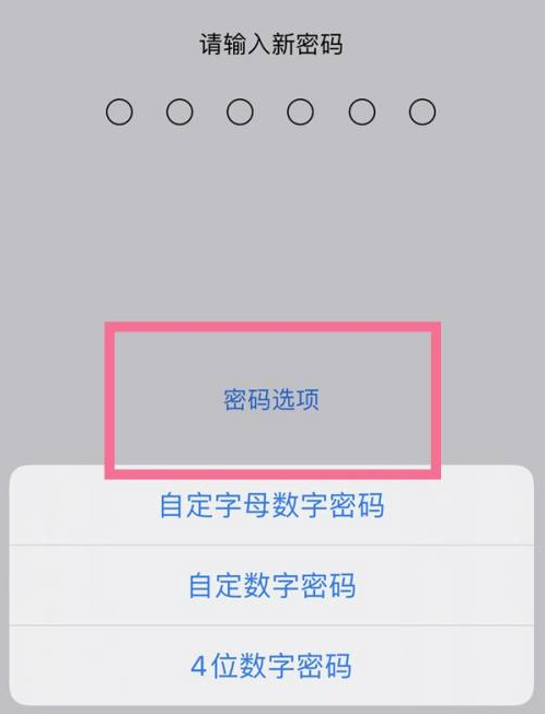 祁阳苹果14维修分享iPhone 14plus设置密码的方法 