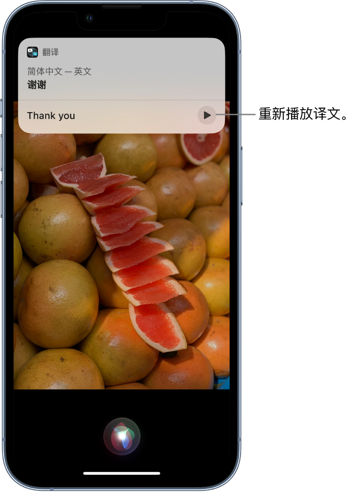 祁阳苹果14维修分享 iPhone 14 机型中使用 Siri：了解 Siri 能帮你做什么 