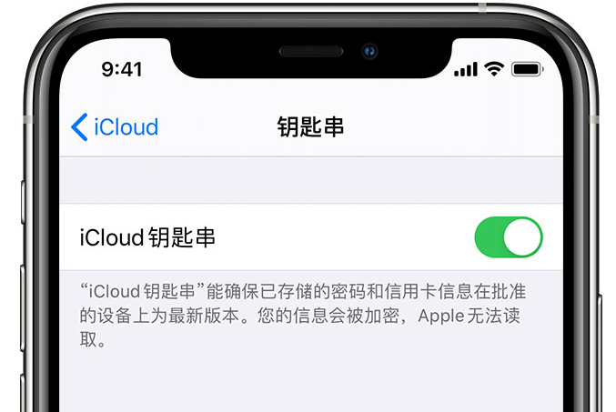 祁阳苹果手机维修分享在 iPhone 上开启 iCloud 钥匙串之后会储存哪些信息 