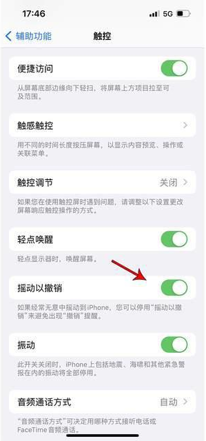 祁阳苹果手机维修分享iPhone手机如何设置摇一摇删除文字 